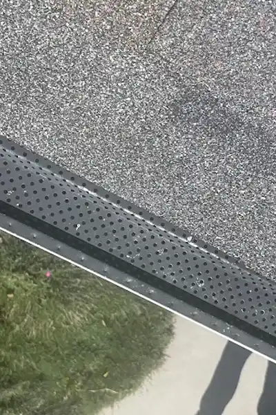 Professional Gutter Cleaning Service Professional Gutter Cleaning Service